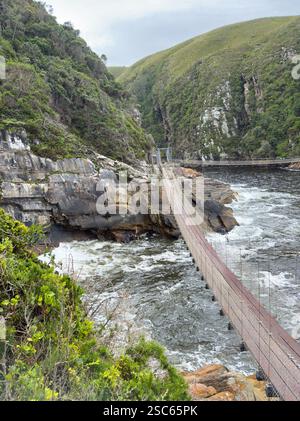 Parco nazionale di Tsitsikamma, Sudafrica. Ponte sospeso sul fiume Storms. Vista dall'alto Foto Stock