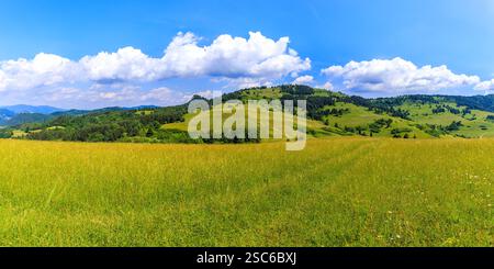 Vista panoramica del prato verde nel paesaggio estivo del Parco Nazionale dei Monti Pieniny vicino alla città di Szczawnica, in Polonia Foto Stock