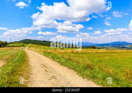 Strada rurale nelle montagne di Beskidy in una soleggiata giornata estiva vicino a Zywiec, Polonia Foto Stock