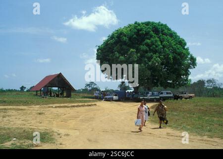 Guyana. America. Nei dintorni di Georgetown. Foto Stock
