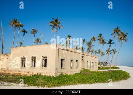 Rovine e palme sulla spiaggia vicino a Salalah, Oman Foto Stock