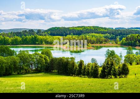 Vista del lago Jaczno dalla collina con prato verde e alberi, parco paesaggistico di Suwalski, Podlasie, Polonia Foto Stock
