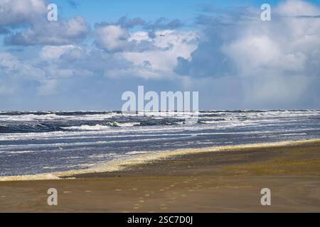 Una tranquilla spiaggia con dolci onde che si infrangono sulla riva sotto un cielo parzialmente nuvoloso. Foto Stock