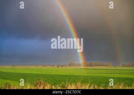 Un vivace arcobaleno si estende su un lussureggiante campo verde sotto un cielo nuvoloso. Foto Stock