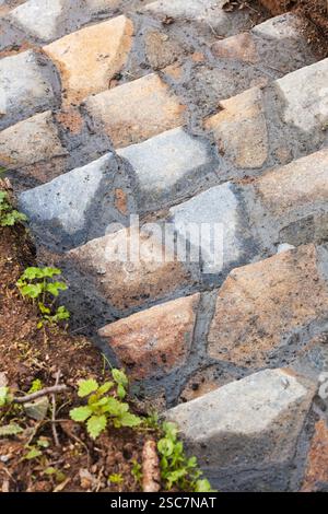 Immagine ravvicinata di un rustico sentiero in pietra caratterizzato da rocce dalla forma irregolare poste in una terra umida, che mostra una texture naturale e un carattere grezzo e terroso Foto Stock