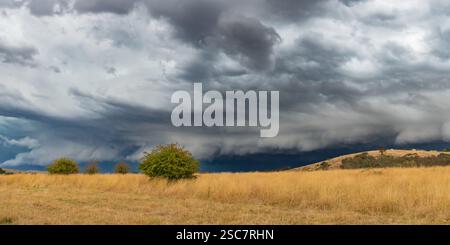 Tempeste serali che attraversano la campagna di Blayney, nel centro-ovest del nuovo Galles del Sud, Australia. Foto Stock