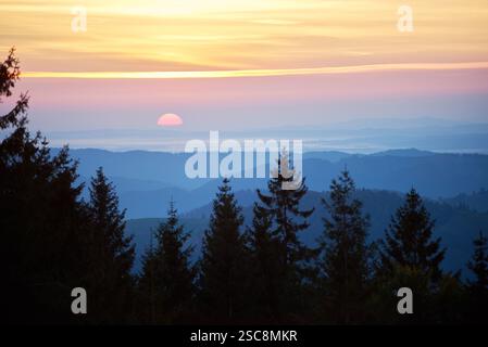 Tramonto vivace con un caldo gradiente di giallo, arancione e rosa sul cielo. Strati di montagne lontane creano lo sfondo, mentre alti pini in primo piano aggiungono profondità a paesaggi mozzafiato Foto Stock