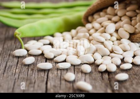 Fagioli di fagioli bianchi secchi crudi crudi crudi freschi su un tavolo rustico. Mucchio di leguminose fagioli di fagiolo ( Phaseolus vulgaris ) Foto Stock