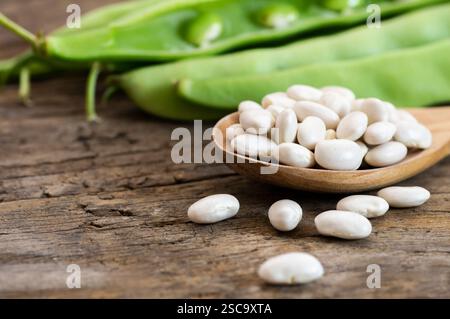 Fagioli di fagioli bianchi secchi crudi crudi crudi freschi su un tavolo rustico. Mucchio di leguminose fagioli di fagiolo ( Phaseolus vulgaris ) Foto Stock