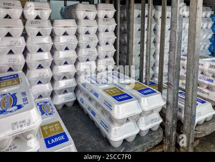 Cartoni di uova di pollo in una borsa frigo per supermercati Foto Stock