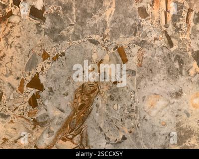 Consistenza marmorea marrone e grigio del canyon di Firenze con venature rosse astratte casuali e taglio di pietra. Pietra di marmo naturale, struttura dello sfondo senza cuciture. Foto Stock