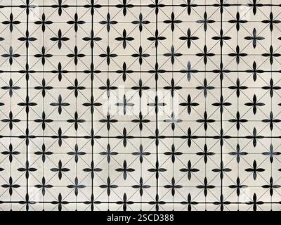 Piastrelle coloniali casuali di colore bianco e nero, in più e a croce. Adatto per pavimenti in edifici storici, pavimenti coloniali. Senza interruzioni Foto Stock