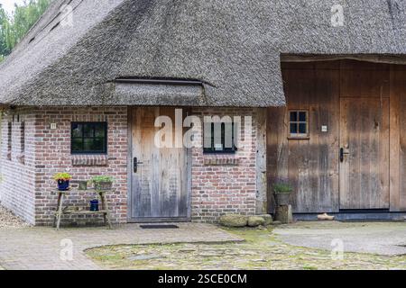 Pittoresca fattoria tradizionale con tetto in paglia a Gees, un piccolo villaggio a Drenthe, Paesi Bassi Foto Stock