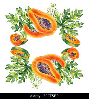 Papaya acquerello tropicale frutta disegnata a mano isolata Foto Stock