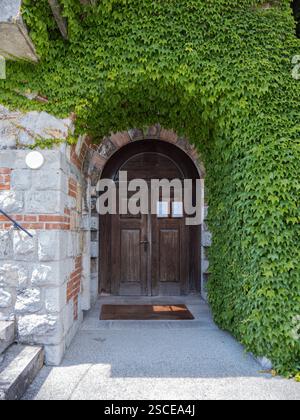 Pittoresca porta ad arco in legno incorniciata da vibrante edera su un vecchio edificio in pietra. Foto Stock