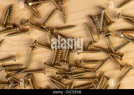 viti autofilettanti per lavori di costruzione da vicino, nuovi e bellissimi dispositivi di fissaggio in metallo viti autofilettanti per il collegamento di elementi in legno o metallo Foto Stock