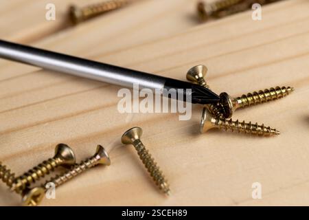 cacciavite e viti autofilettanti decorative dorate per il fissaggio del legno su una tavola di pino, un gruppo di utensili per lavori di costruzione Foto Stock