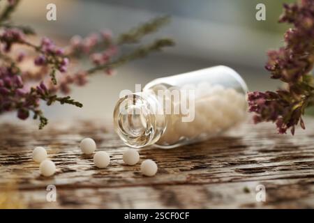 Una bottiglia di pillole omeopatiche bianche o globuli versati su un tavolo con fiori secchi rosa Foto Stock