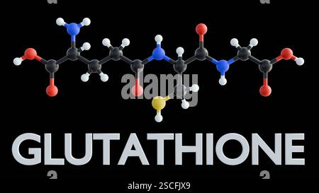 Una rappresentazione 3D della parola "glutatione" e della sua struttura chimica raffigura questa molecola, spesso chiamata "antiossidante principale" Foto Stock
