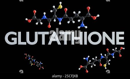 Una rappresentazione 3D della parola "glutatione" e della sua struttura chimica raffigura questa molecola, spesso chiamata "antiossidante principale" Foto Stock