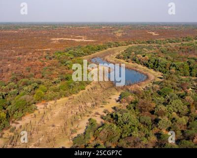 Alberi morti in una pozza d'acqua nel Delta dell'Okavonago in Botswana. Preso durante un volo in elicottero. Foto Stock