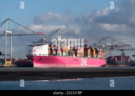 Una nave container scaricata al porto container di Southampton Foto Stock