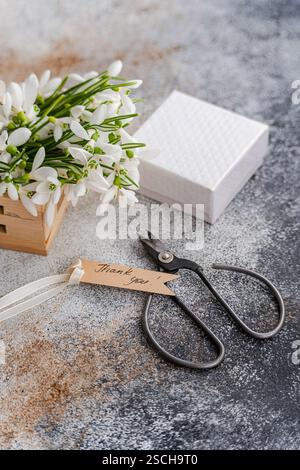 Fresco bouquet di gocce di neve primaverili collocato accanto a una confezione regalo bianca testurizzata e a forbici vintage scure su sfondo grigio chiazzato. Un tag di ringraziamento aggiunge Foto Stock