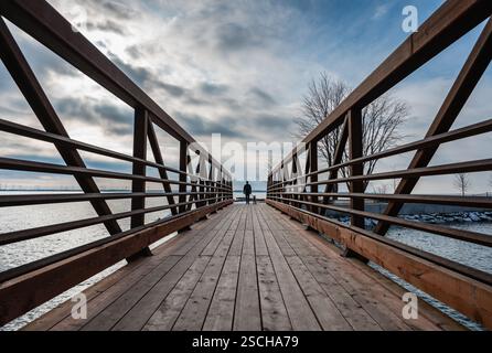 Angolo basso di uomo che cammina con il cane attraverso il ponte in inverno. Foto Stock