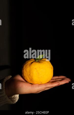 Una mano culla delicatamente un limone giallo maturo con una singola foglia verde, appoggiato su uno sfondo scuro e contrastante. La consistenza del frutto è evidenziata da S. Foto Stock
