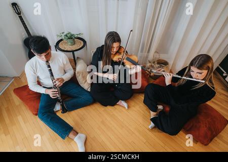 Gruppo di amici che suonano strumenti in un ambiente accogliente Foto Stock