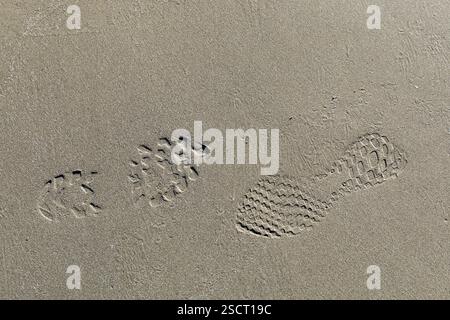 Stampe di scarpe, impronte sulla spiaggia Foto Stock