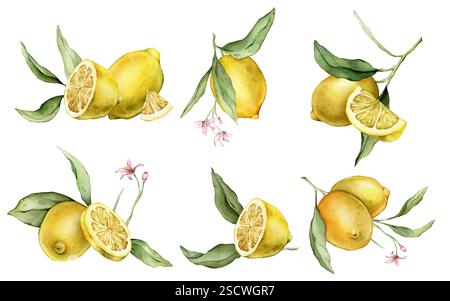 Set di fette e limone intero, buccia limone con foglie verdi isolate su sfondo bianco. Illustrazione ad acquerello disegnata a mano di agrumi gialli e. Foto Stock