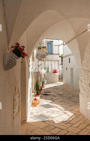 Un tipico vicolo nel centro storico di Cisternino Foto Stock