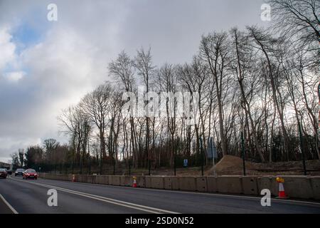 Wendover, Regno Unito. 6 febbraio 2025. Alcuni dei pochi alberi rimasti adiacenti alla A413 alla periferia di Wendover, Buckinghamshire, che finora non sono stati abbattuti da HS2. Crediti: Maureen McLean/Alamy Foto Stock