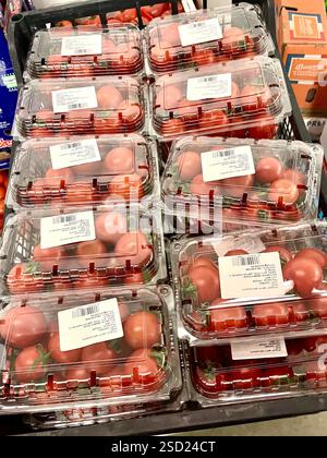 pomodori ciliegini in scatole di plastica, verdure, magazzino, conservazione, alimenti, agricoltura, approvvigionamento alimentare, stoccaggio di verdure, distribuzione, catena di approvvigionamento Foto Stock