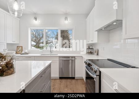 Cucina con lavastoviglie in acciaio inox e piano cottura nero. La cucina è molto pulita e ben organizzata Foto Stock