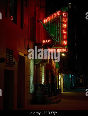 Dublin House bar, insegna al neon vintage di notte nell'Upper West Side, Manhattan, New York City Foto Stock