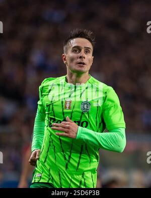 Porto, Guimaraes, Portogallo. 7 febbraio 2025. IVAN FRESNEDA dello Sporting CP ha visto celebrare il suo gol durante la partita di Liga Portugal Betclic 2024/25 tra FC Porto e Sporting CP all'Estadio do Dragao 7, febbraio 2025 a Porto, Portogallo. Punteggio finale FC Porto 1 - 1 Sporting CP (immagine di credito: © Miguel Lemos/ZUMA Press Wire) SOLO PER USO EDITORIALE! Non per USO commerciale! Crediti: ZUMA Press, Inc./Alamy Live News Foto Stock