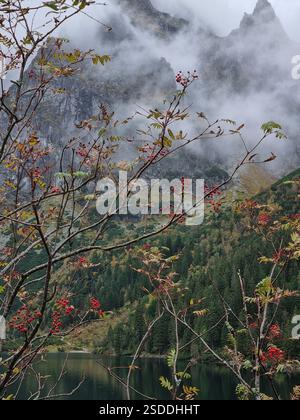 Vista autunnale di un albero di rowan con bacche rosse presso il lago di montagna Morskie Oko, con montagne sullo sfondo, vicino a Zakopane nei Tatra polacchi Foto Stock