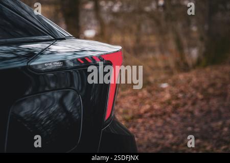 Luce di posizione rossa in primo piano di un'auto nera, veicolo di condivisione di e-car di Deer Mobility, Gechingen, Foresta Nera, Germania, Europa Foto Stock