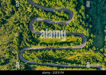 Vista aerea estiva di una tortuosa strada di montagna attraverso la foresta verde Foto Stock