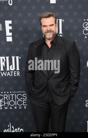 Santa Monica, Stati Uniti. 8 febbraio 2025. David Harbour partecipa al 30° Annual Critics Choice Awards al Barker Hangar il 7 febbraio 2025 a Santa Monica, California. Foto: Crash/imageSPACE credito: Imagespace/Alamy Live News Foto Stock
