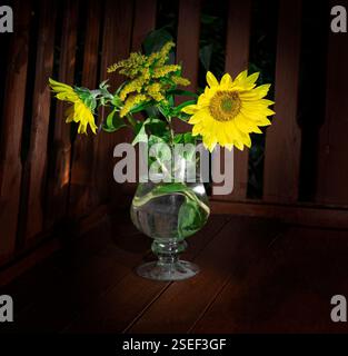 Girasoli in vaso su un tavolo di legno dai toni scuri Foto Stock