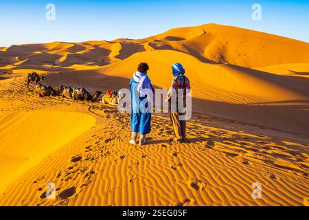 Guide arabe che riposano con cammelli sulle dune di sabbia nel deserto del Sahara di Erg Chebbi al tramonto vicino alla città di Merzouga, Marocco, Nord Africa Foto Stock