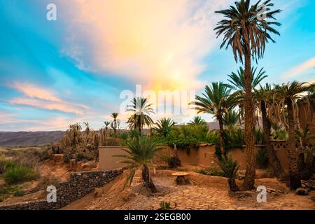 Palme sul deserto al tramonto vicino alla città di Agdz nelle montagne dell'Atlante, Marocco, Nord Africa Foto Stock