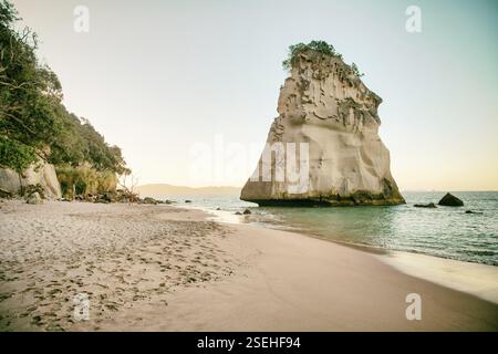 Incredibile roccia di te HOHO al tramonto, riserva marina di Cathedral Cove, penisola di Coromandel, nuova Zelanda, Oceania Foto Stock