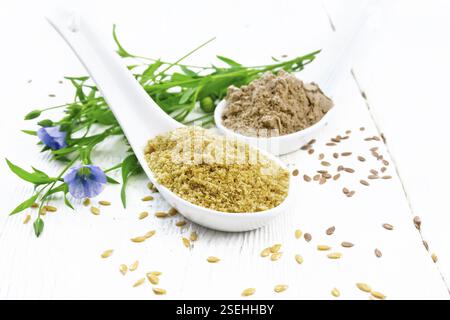 Crusca di lino e farina in due cucchiai, semi sul tavolo, foglie e fiori di lino sullo sfondo di una tavola di legno bianco Foto Stock