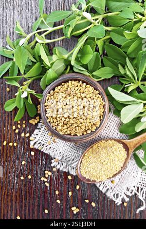 Mettere a terra il fieno in un cucchiaio e seminare in una ciotola su tela con foglie verdi su legno fondo asse da sopra Foto Stock