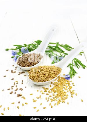 Semi di lino bianco e marrone in due cucchiai, stocchi di lino con fiori blu e foglie verdi su uno sfondo di legno bianco Foto Stock