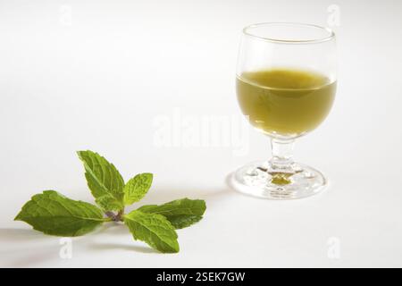 Spezie verdi succo di menta su sfondo bianco, pudina ka rus, India, Asia Foto Stock